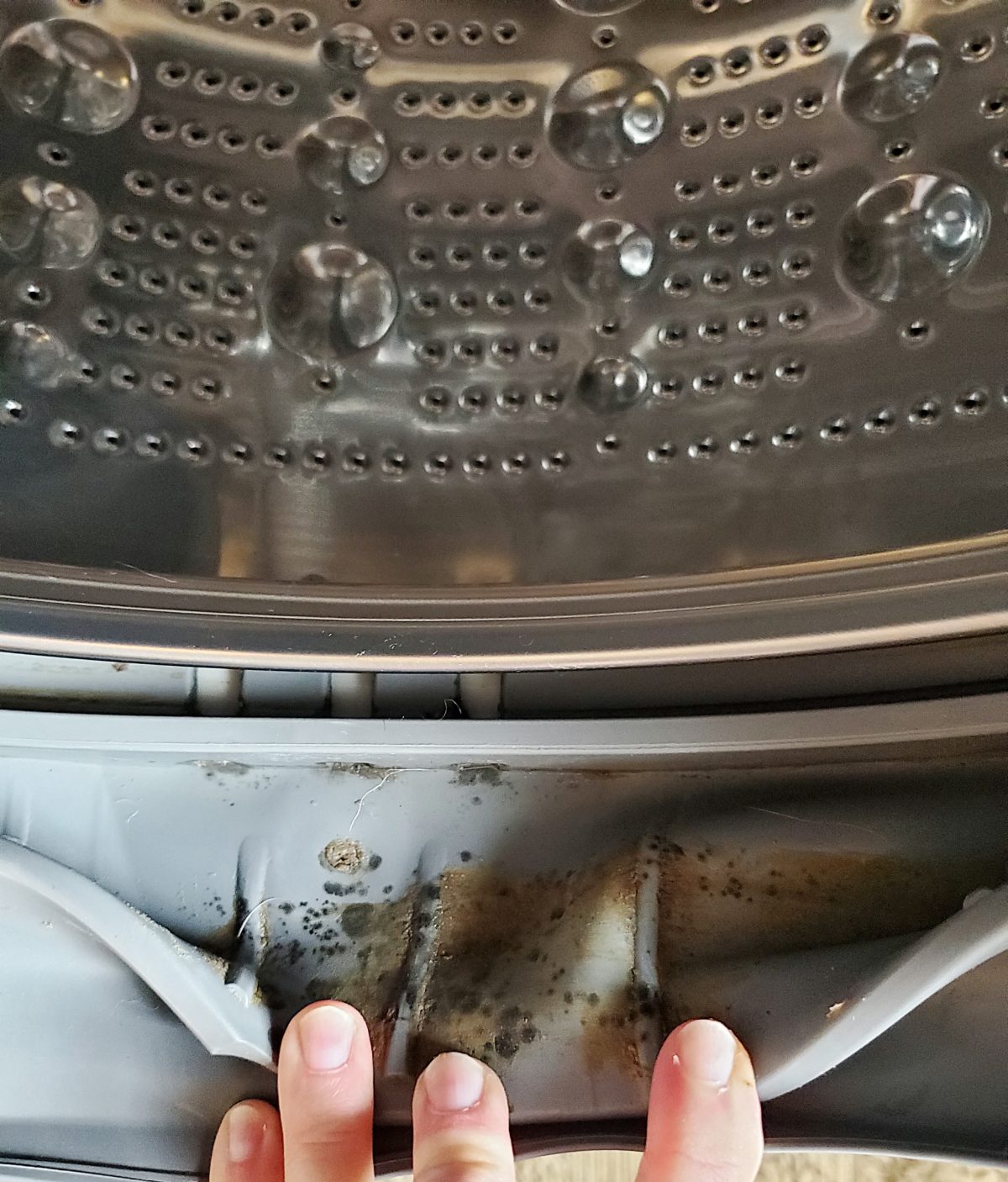 How to Get the Stink out of Your Washing Machine! Moldy Seals and Stinky  Drums. - Bleach Pray Love