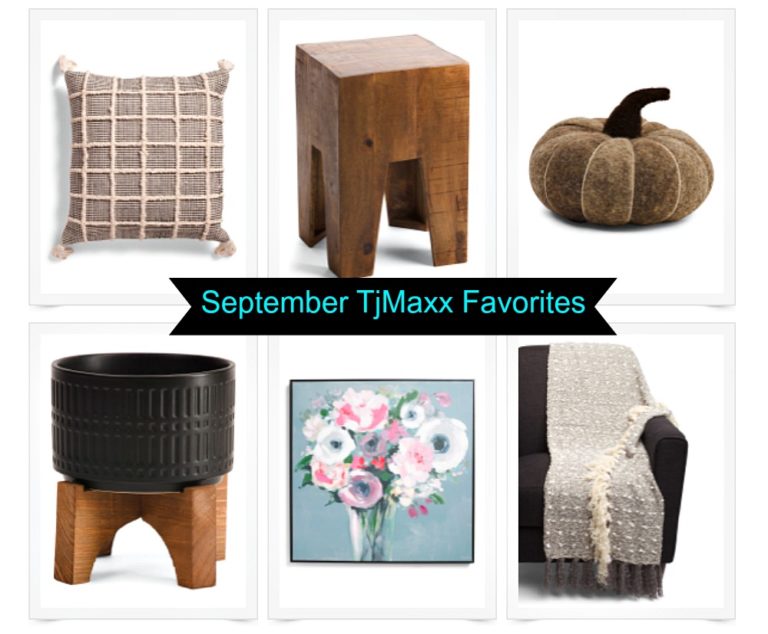 September TjMaxx Favorites