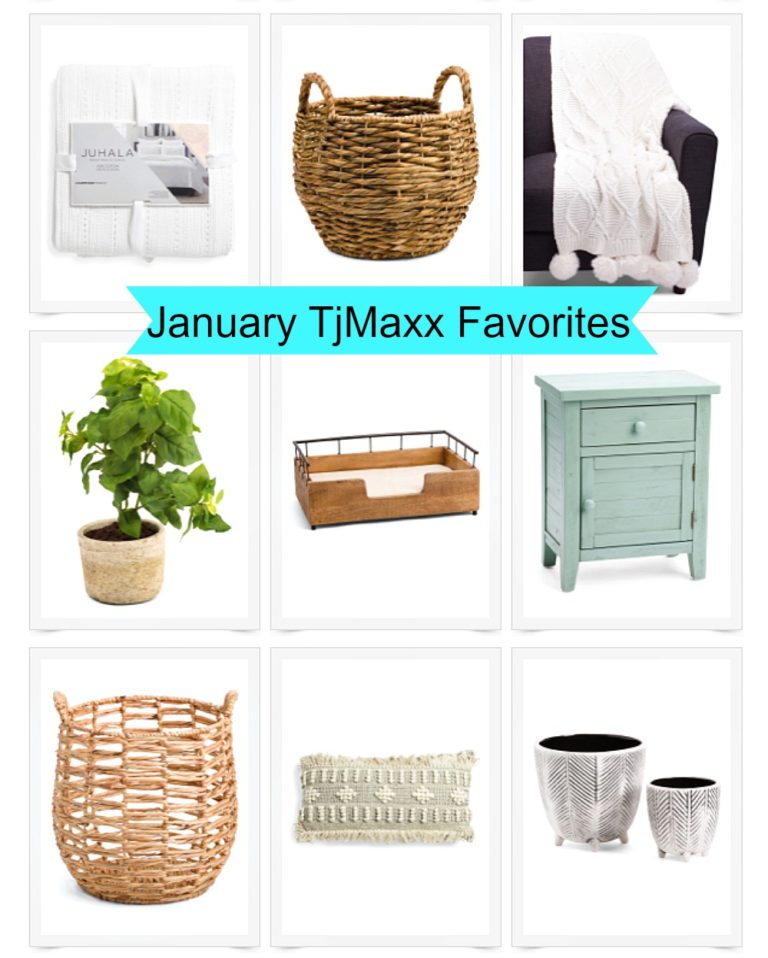 January TjMaxx Favorites